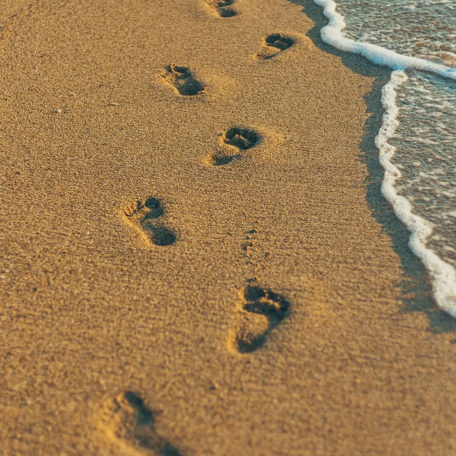 A line of bare footprints along wet sand at the edge of the surf